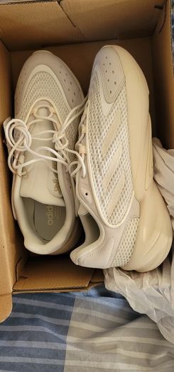 Adidas originals ozelia