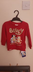 Bluey jumper