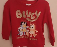 Bluey jumper