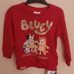 Bluey jumper