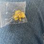 Shamrock Pin/Badge with Butterfly Back - New Image 2