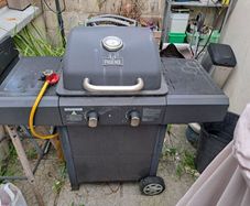 Phoenix 2-Burner Gas BBQ.
