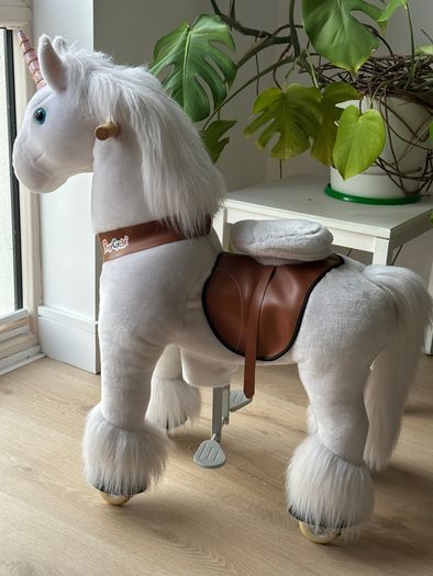 Unicorn riding ponie