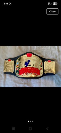 5 wwe belts