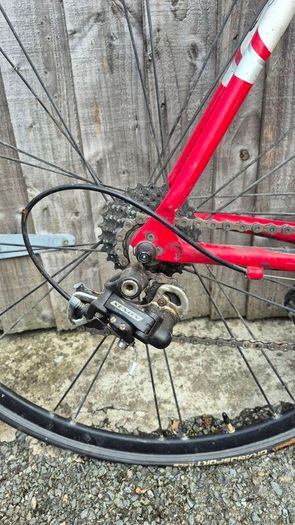 Giotto road bike