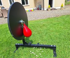 Boxing speed bag