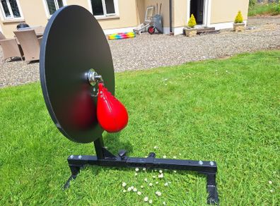 Boxing speed bag