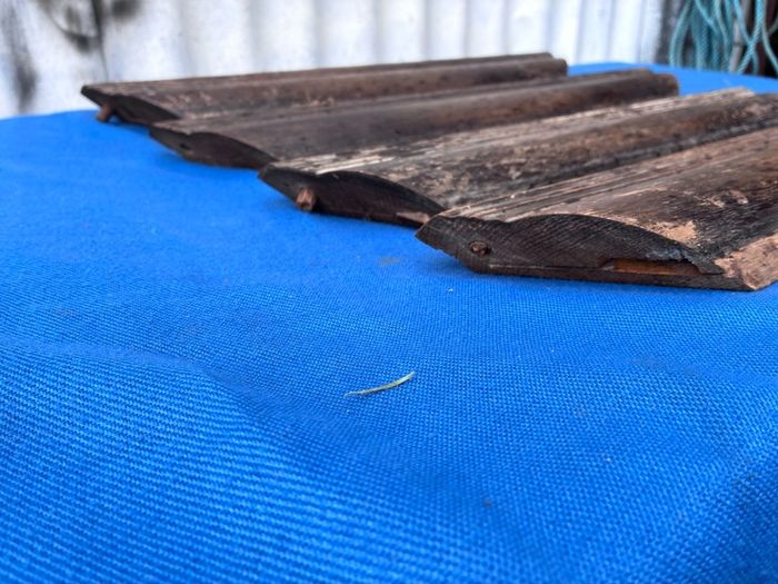 Old oak timber