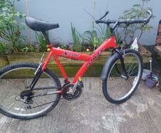 Power Bike