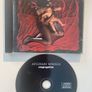 The Afghan Whigs / Twilight Singers - various CDs Image 3