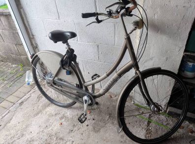 Dutch bike