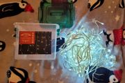 Christmas lights 160