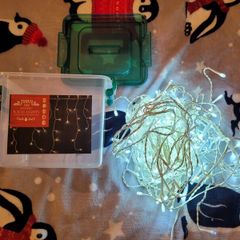 Christmas lights 160