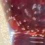 Very Decorative Glass Paperweight Amber Bird Princ Art Glass Made In Czech Republic.  In Box As New. Image 4