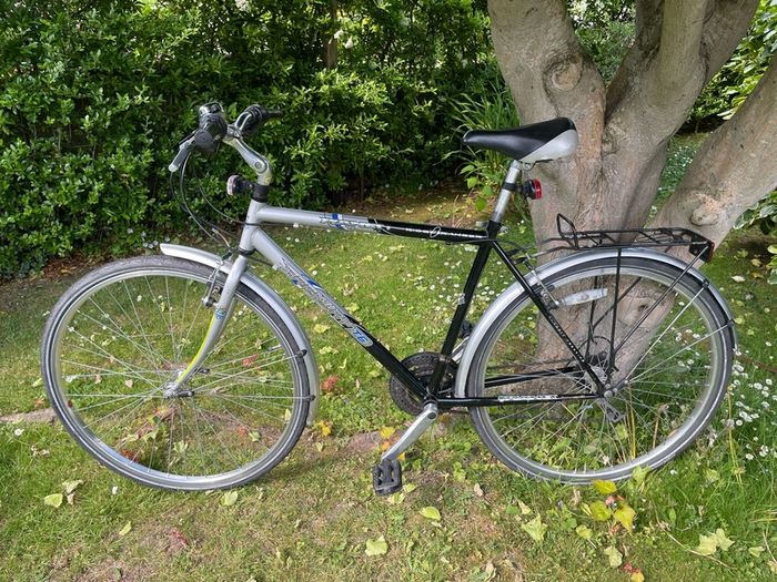 Trekking bike