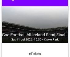 2x tickets Mayo vs Louth - Nally Stand
