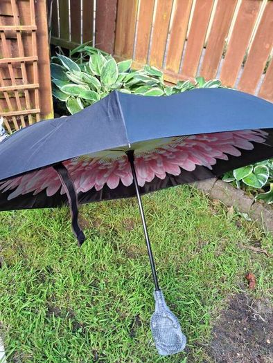 Reversal umbrella