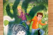 The Secrets of Grindlewood by Jackie Burke