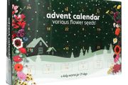 Buzzy Flower Seed Advent Calendar