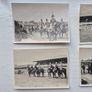 Royal Dublin Horse Show Image 2