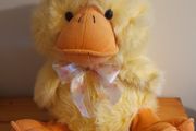 Plush Duck