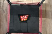 WWF / WWE Jakks BCA Monster Ring