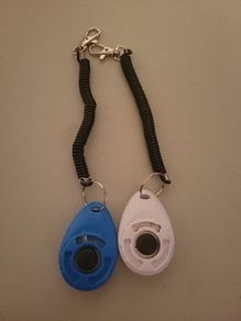 clicker