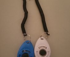 clicker