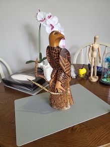 Eagle with snake