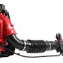 Leaf Blowers Amura Professional Image 6