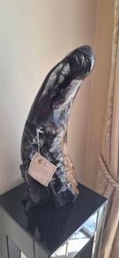 Bog Oak