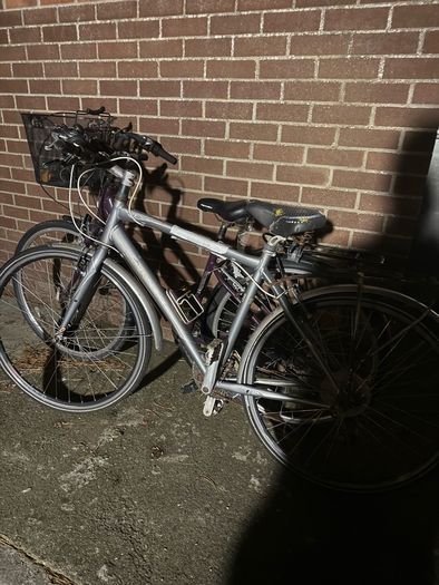 bikes