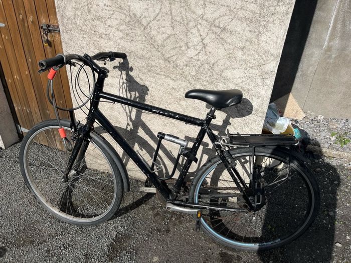 Adult Bike