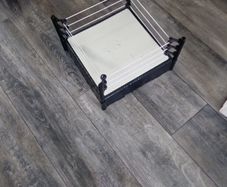 wrestling ring