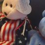 Country Themed Beanie Bears Image 2