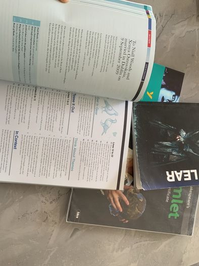 Leaving cert books for English, examination.