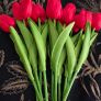 Artificial White Tulips 10 Stems 34cm Image 6