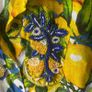 Antica Sartoria Giacomo Cinque Cotton Corfu Lemon & Chevron Embellished Shirt Dress Image 4