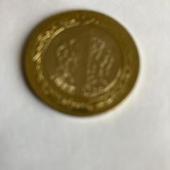 Turkey Coin 1 Lirasi (2024)