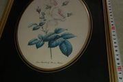 Lovely picture of still life of blue flower.