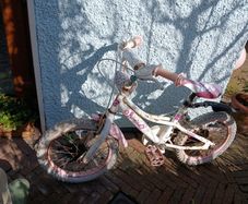 girls bicycle 16 inch