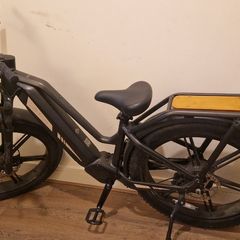 Electric bike