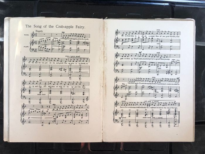 Antique Book Autumn Songs with Music from "Flower Fairies of the Autumn"