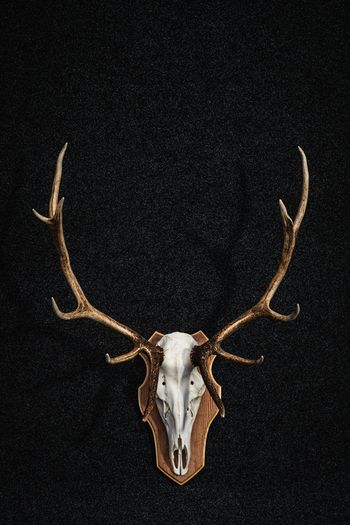 Antlers