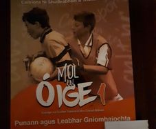 Mol An Oige 1 Workbook Only