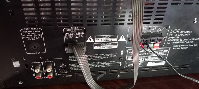 Pioneer system