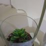 Artificial Succulent Image 5