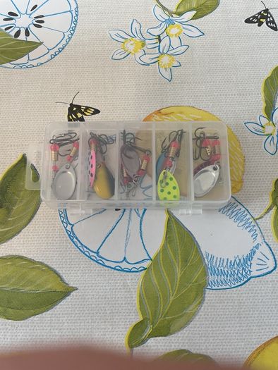 10 Fishing Spinner lures