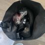 VAX carpet cleaner Image 3