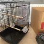 bird cage Image 5